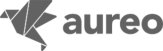 Logo Aureo